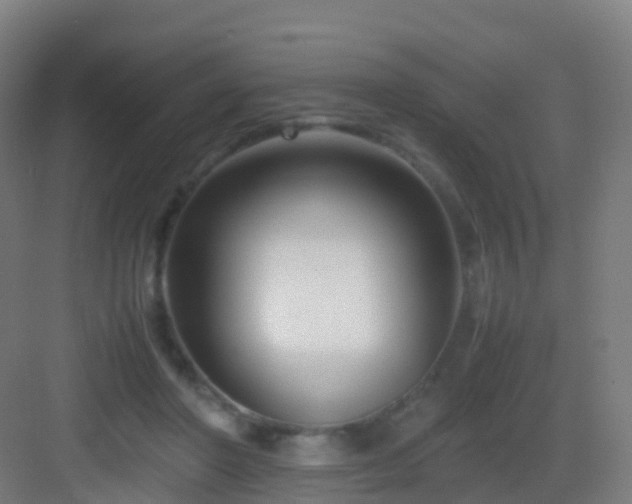 X0000083060406200702091510