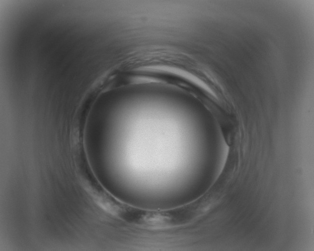 X0000083060407200702091510