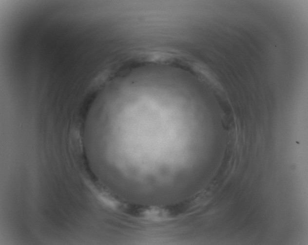 X0000083060415200702091509