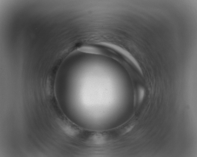 X0000083060416200702091509