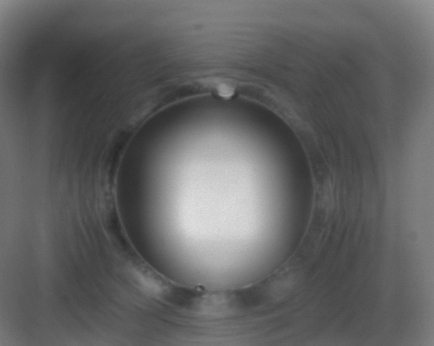 X0000083060418200702091509