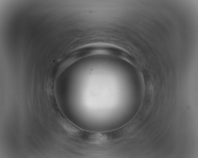 X0000083060421200702091509