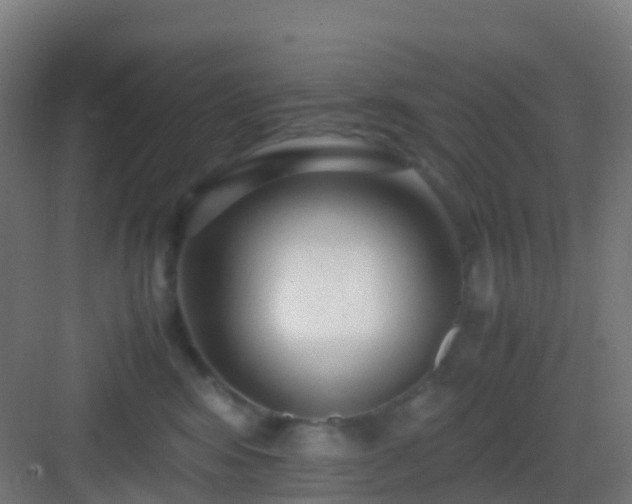 X0000083060424200702091509