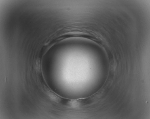 X0000083060425200702091509