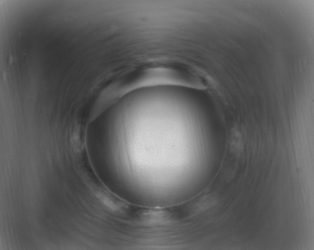 X0000083060428200702091509