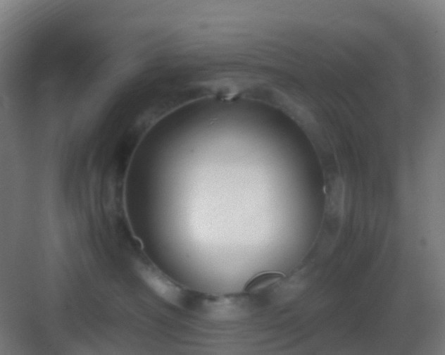 X0000083060430200702091509