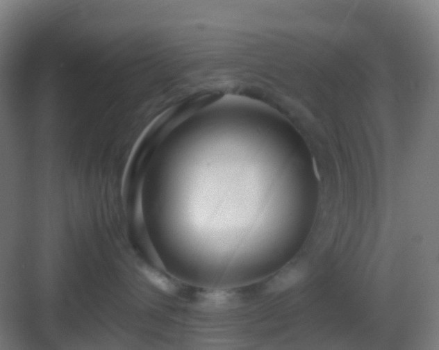 X0000083060432200702091509