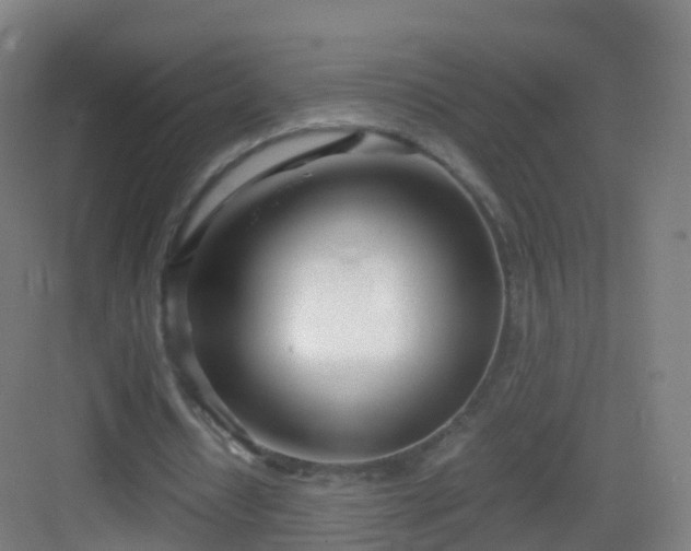 X0000083060434200702091508