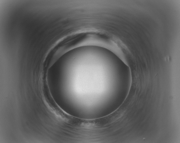 X0000083060440200702091508