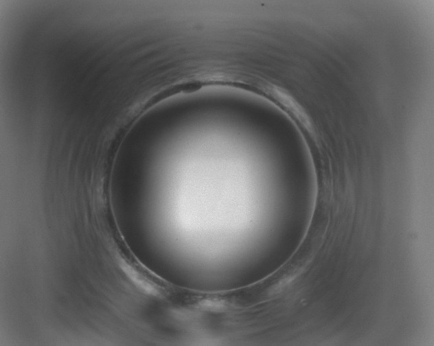 X0000083060441200702091508