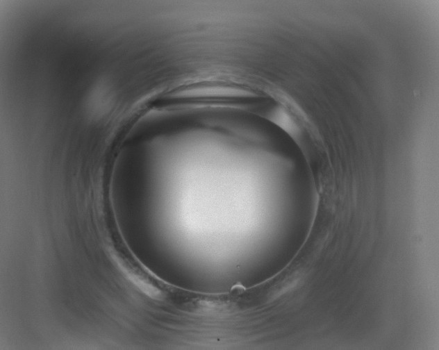 X0000083060442200702091508