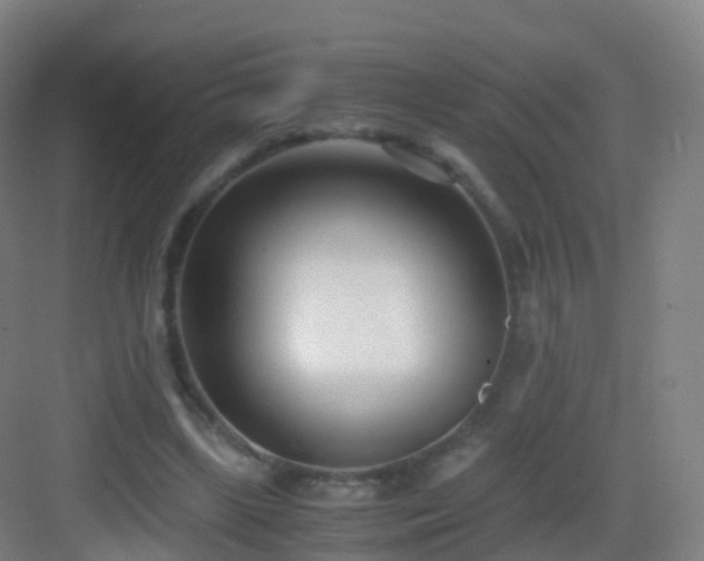 X0000083060443200702091508
