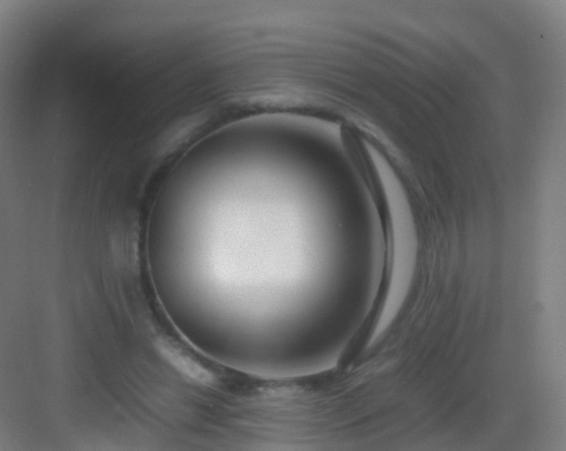 X0000083060446200702091508