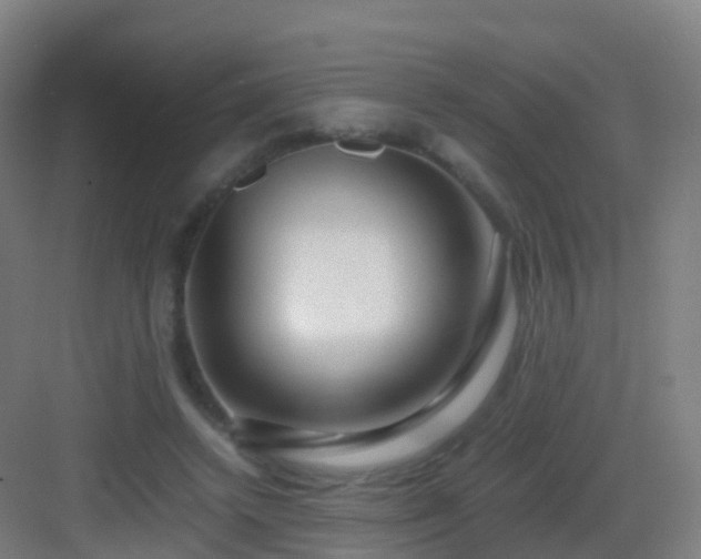X0000083060448200702091508