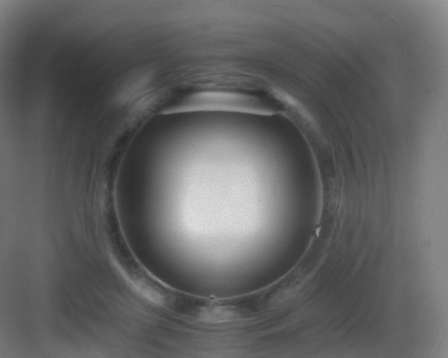 X0000083060451200702091508
