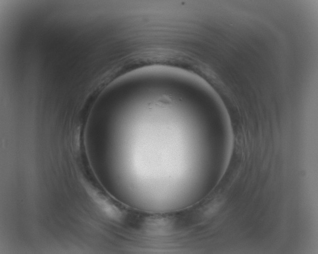 X0000083060454200702091508