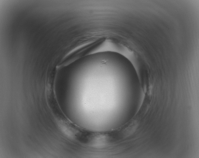 X0000083060456200702091508