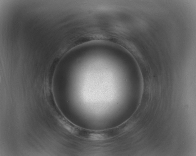 X0000083060457200702091508