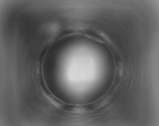 X0000083060458200702091508