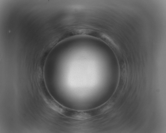 X0000083060459200702091508