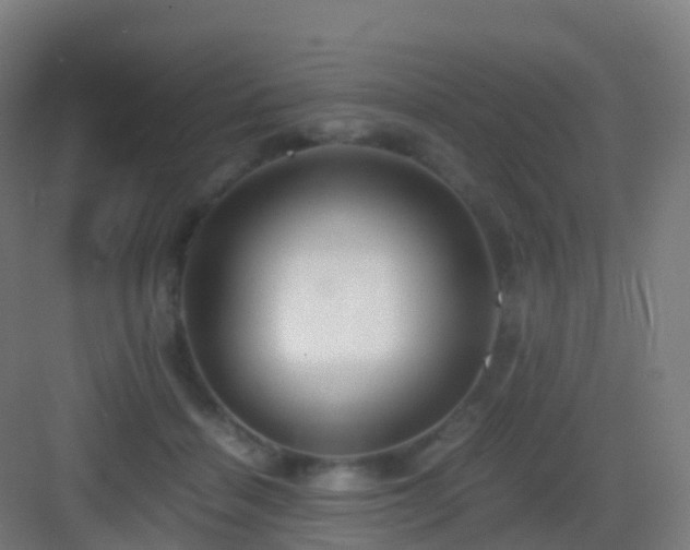 X0000083060460200702091509