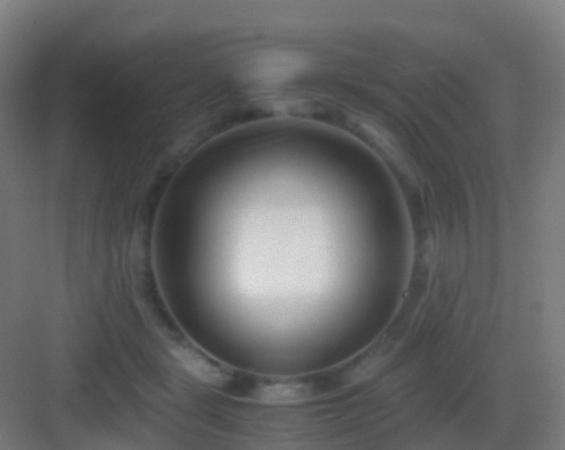 X0000083060461200702091509