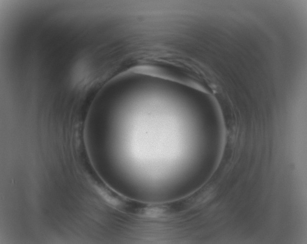 X0000083060462200702091509