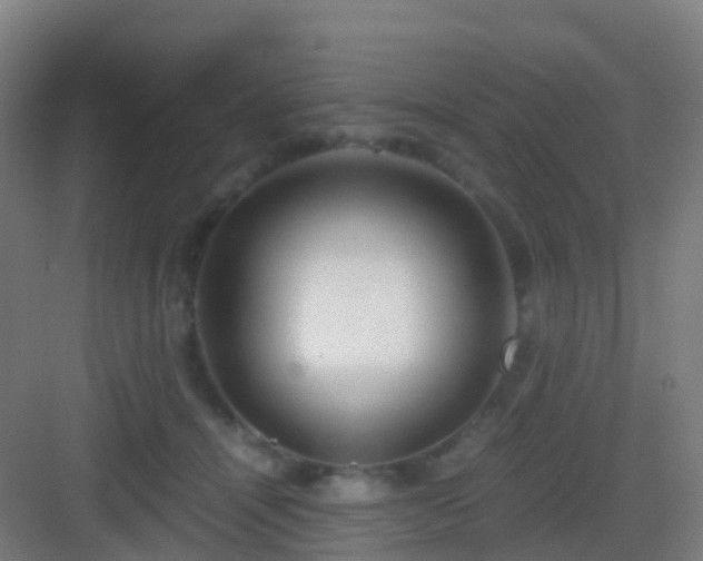 X0000083060464200702091509