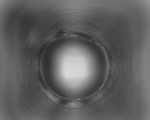 X0000083060466200702091509