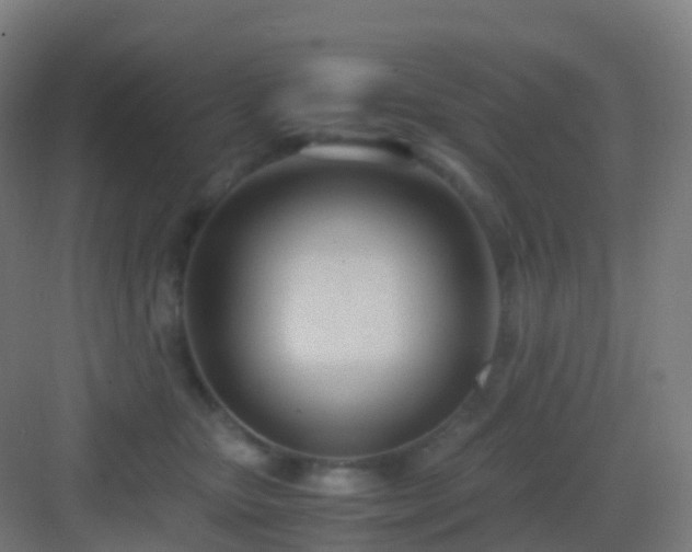 X0000083060467200702091509
