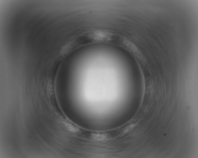 X0000083060469200702091509