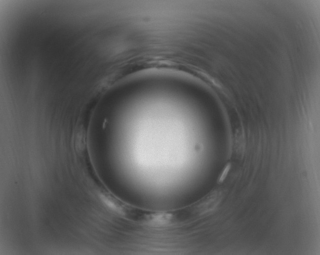 X0000083060474200702091509