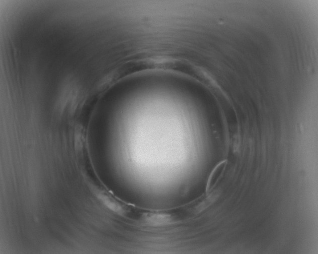 X0000083060476200702091509