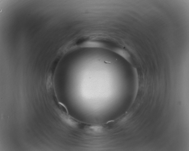 X0000083060478200702091509