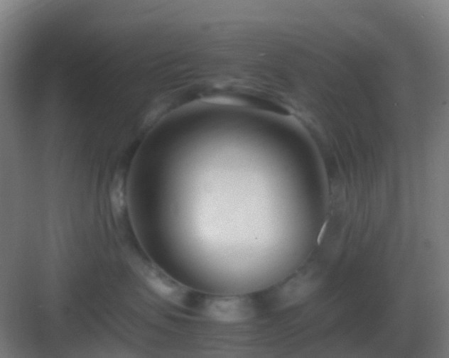 X0000083060479200702091509