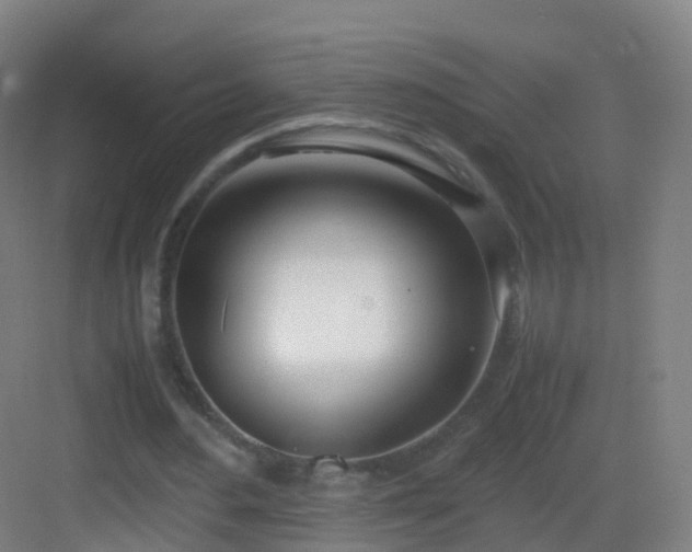 X0000083060484200702091508