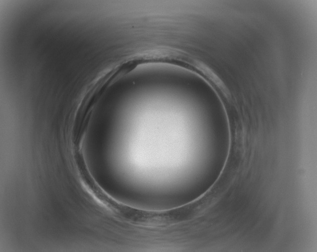 X0000083060485200702091508