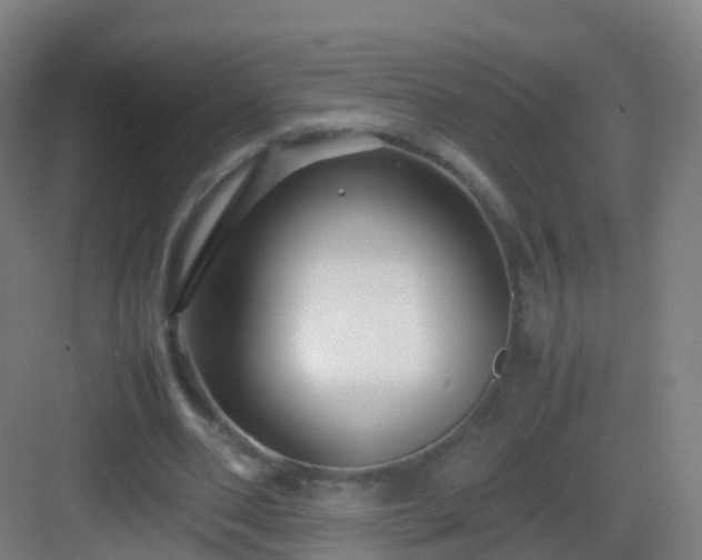 X0000083060486200702091508