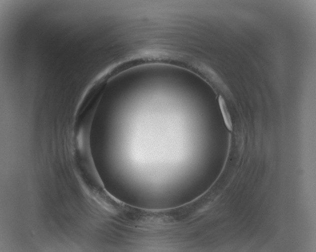 X0000083060488200702091508
