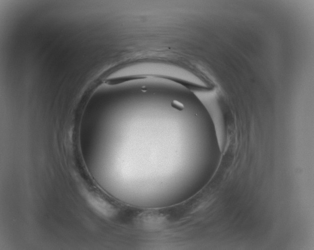 X0000083060491200702091508