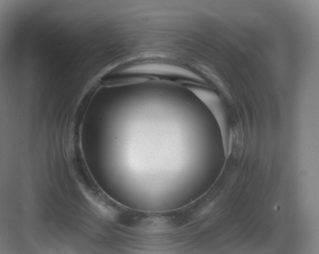 X0000083060492200702091508