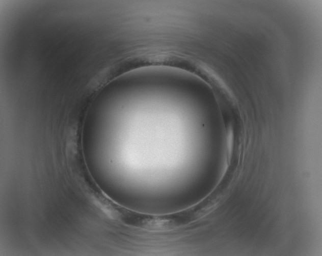 X0000083060497200702091508