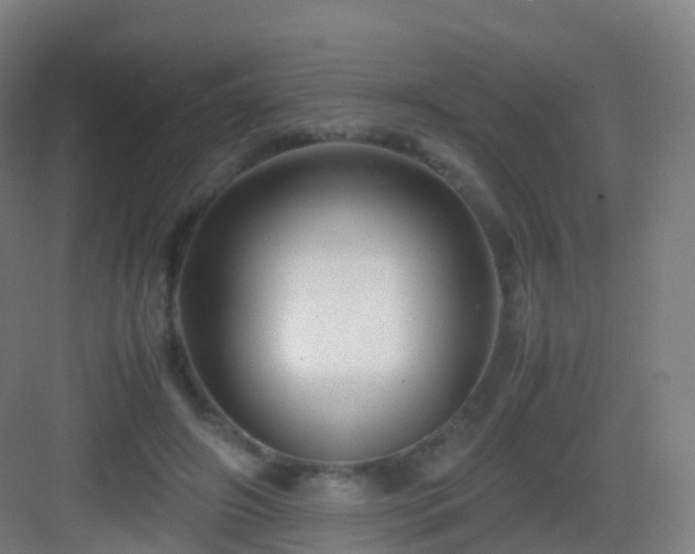 X0000083060498200702091508
