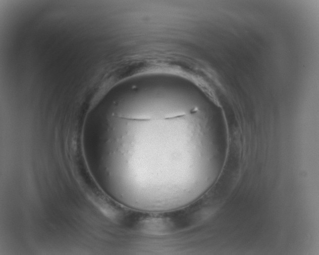 X0000083060499200702091508