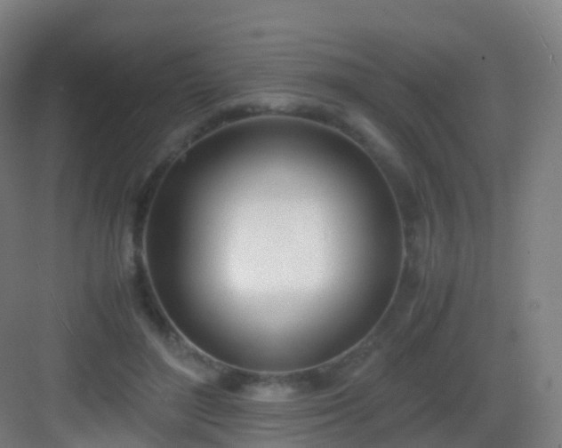 X0000083060500200702091508