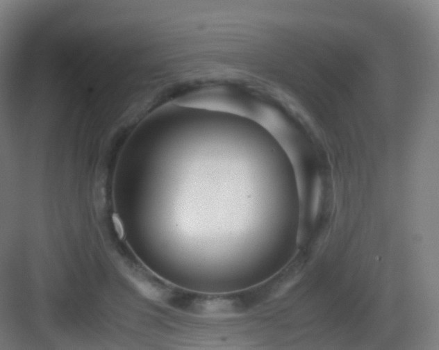 X0000083060501200702091508