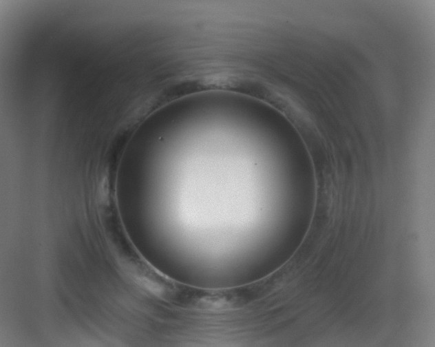 X0000083060502200702091508