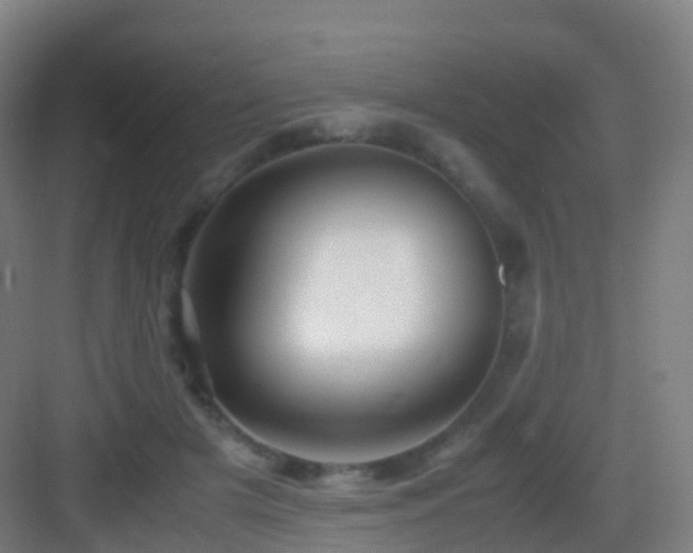 X0000083060505200702091508