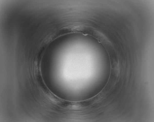 X0000083060506200702091508