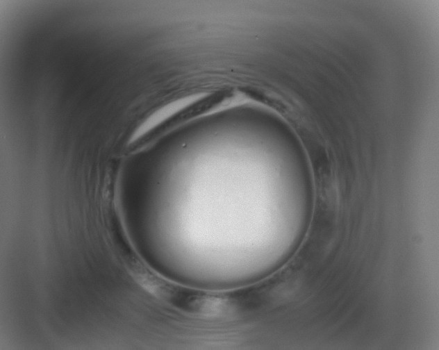 X0000083060507200702091508